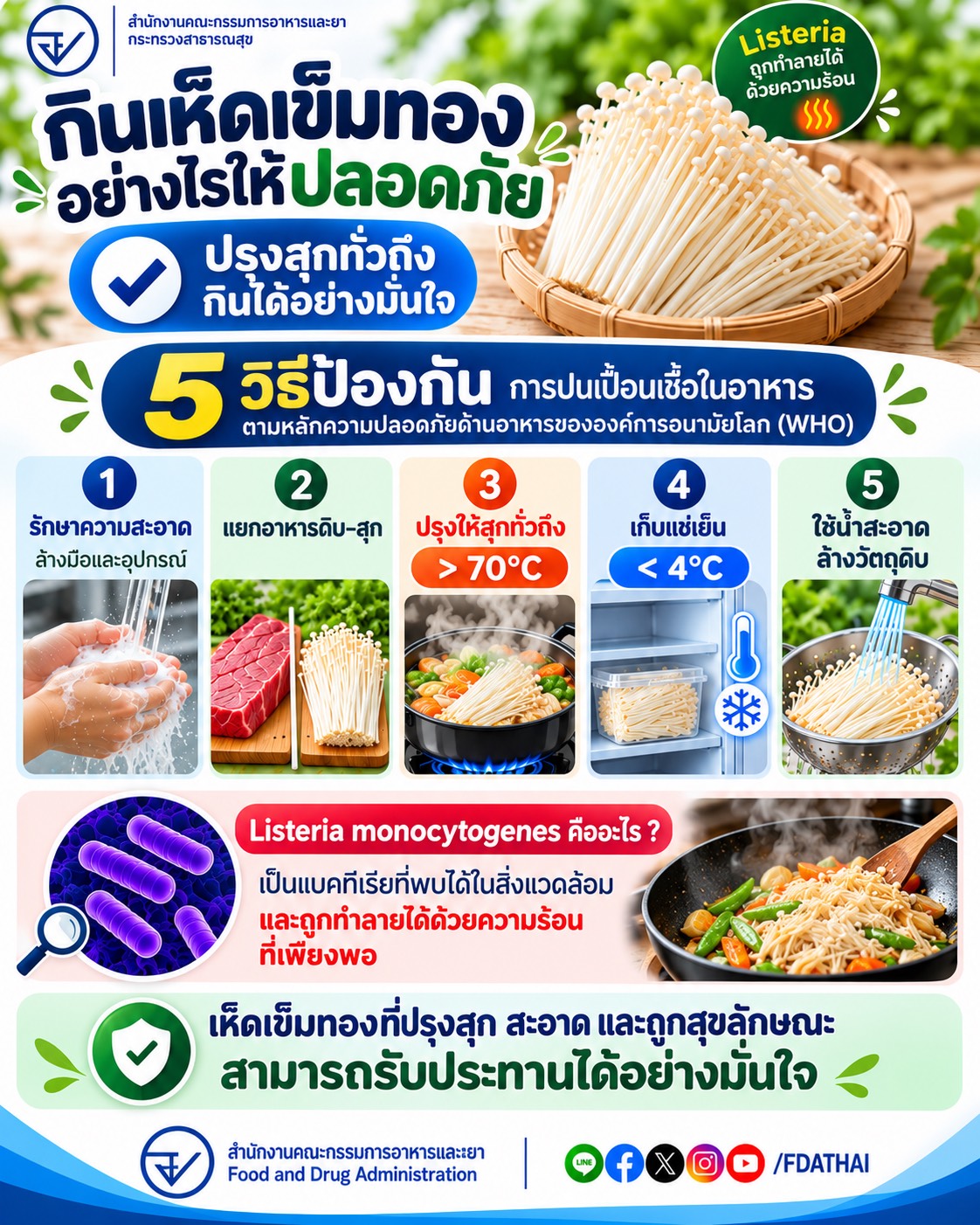 อย. ยืนยันไม่พบ “เห็ดเข็มทอง” ปนเปื้อนเชื้อลิสทีเรียฯ จากผู้ผลิตที่สหรัฐฯ แจ้งเตือน ย้ำปรุงสุกบริโภคได้อย่างปลอดภัย รูปที่ 1
